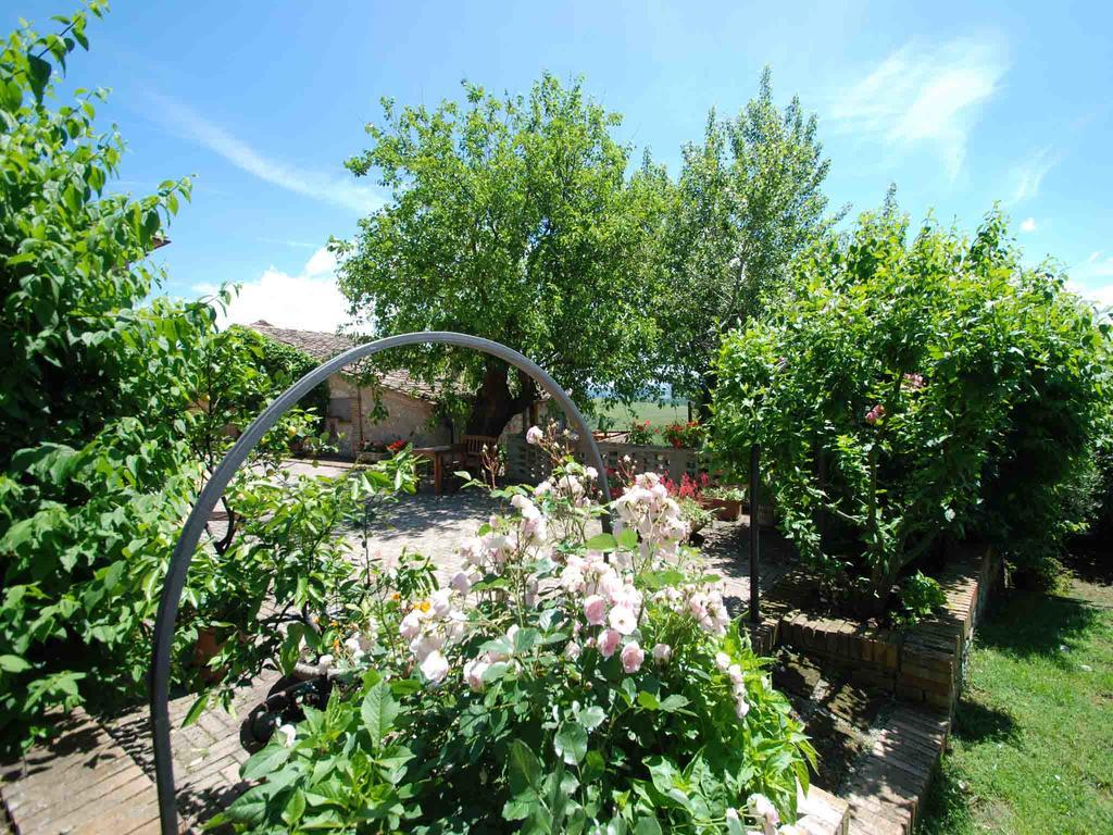 Agriturismo Etrusco Murlo Esterno foto
